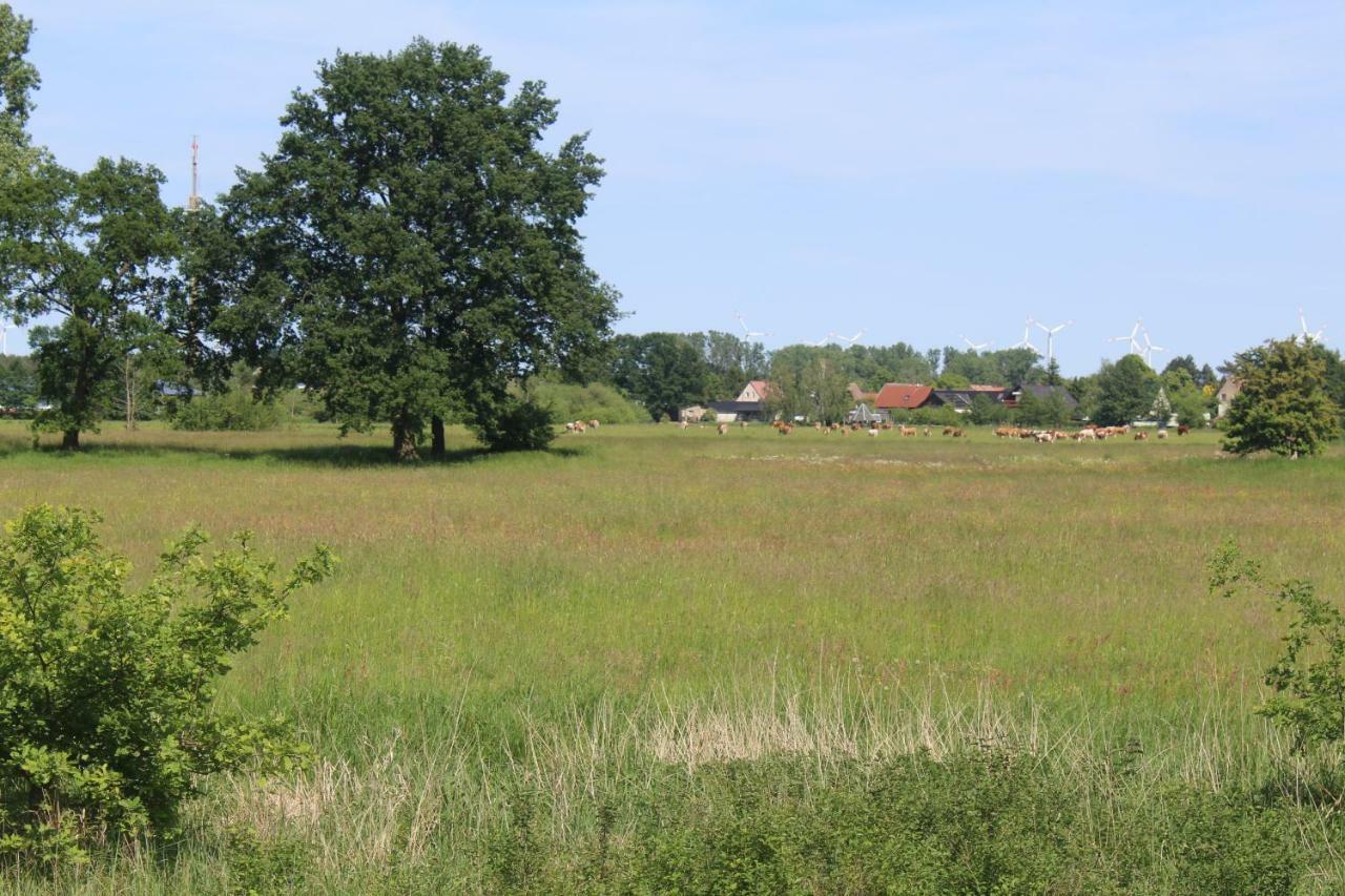 Spreewald Ferienwohnung Luebben Екстер'єр фото